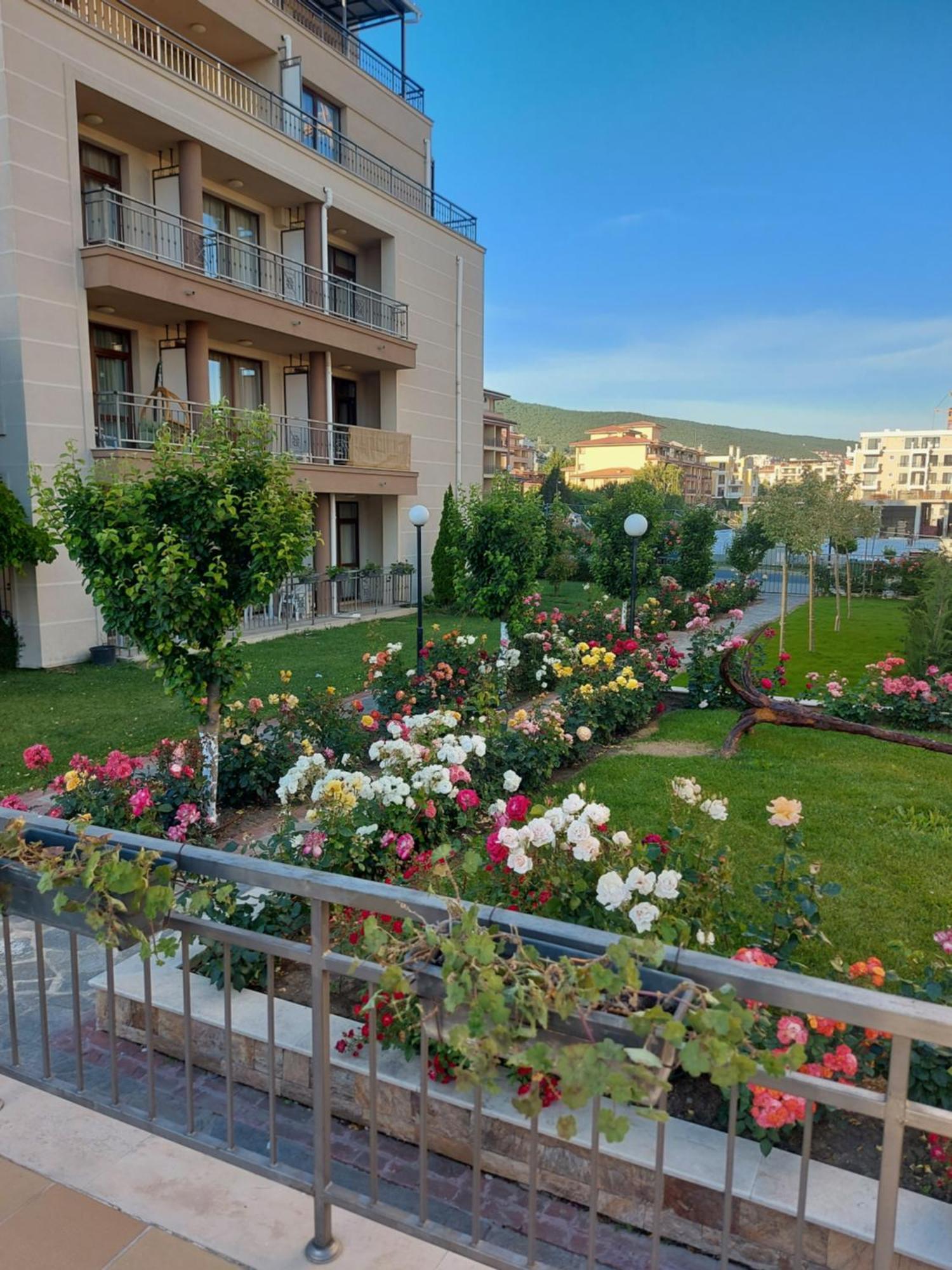 Charming Studio In Sorrento Sole Mare Święty Włas Zewnętrze zdjęcie